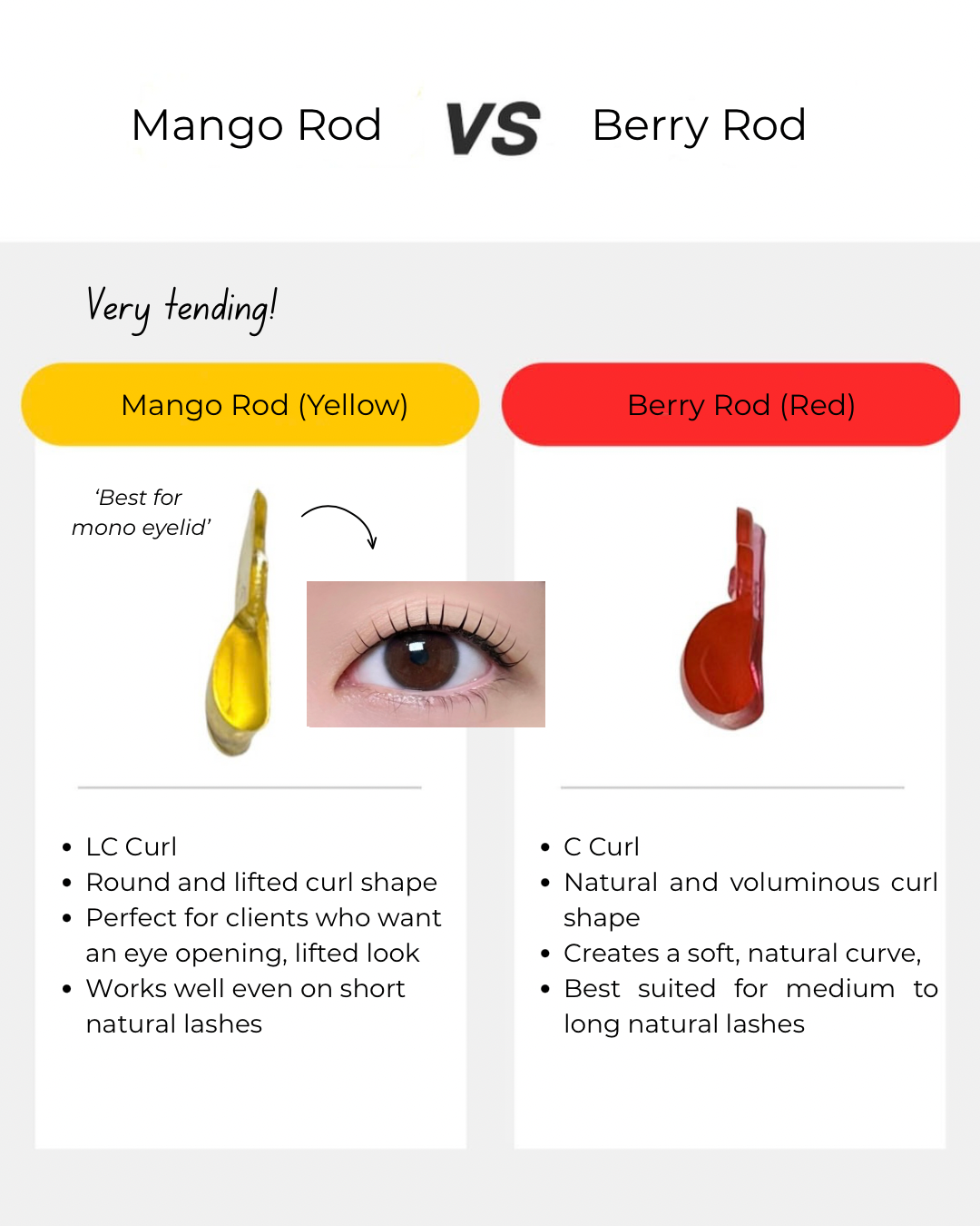 Korean Lash Lift Shield-Mango rod(LC curl)